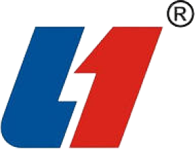 L1 L1
